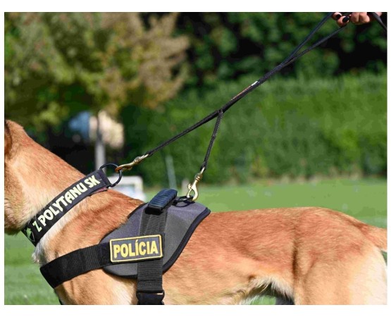 Lesa profesionala dubla PATROL Z Polytanu SK pentru caini