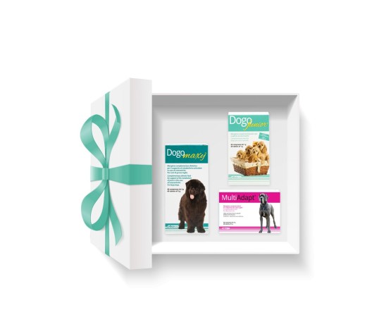 Pachet DOGOteka® TRIS