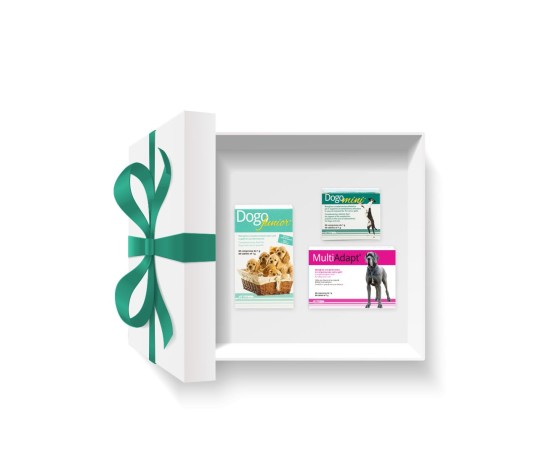 Pachet DOGOteka® MINI