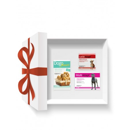 Pachet DOGOteka® PUPPY