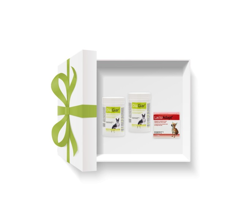 Pachet DOGOteka® INTESTINAL