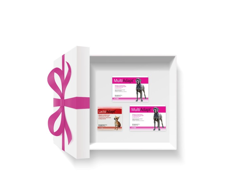 Pachet DOGOteka® RECOVERY