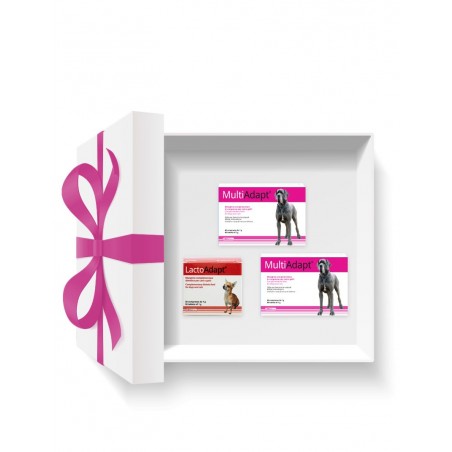 Pachet DOGOteka® RECOVERY