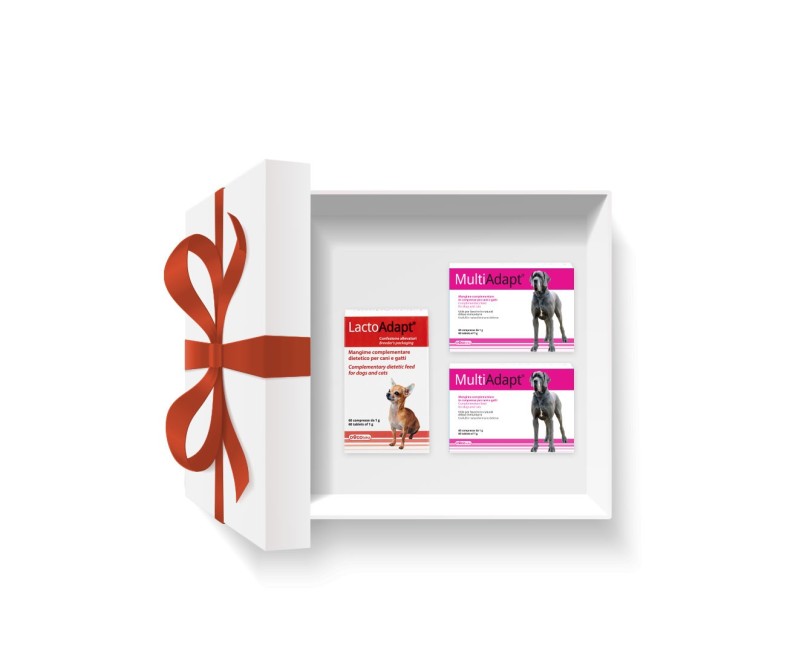 Pachet DOGOteka® BIG RECOVERY