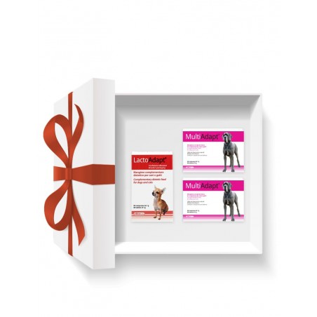 Pachet DOGOteka® BIG RECOVERY