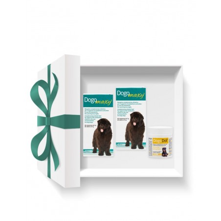 Pachet DOGOteka® MAXYDOL