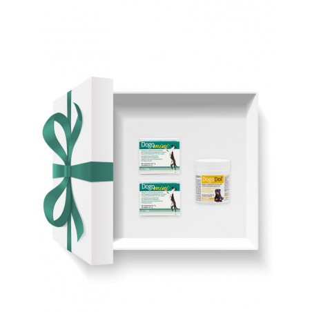 Pachet DOGOteka® MINIDOL
