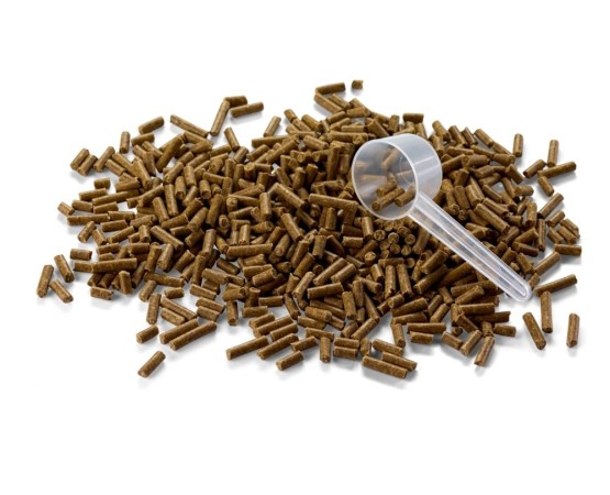 LUPOSAN® LUPO cox® Vital pentru caini