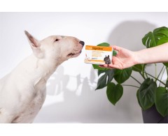 DOGOdigestive® supliment pentru imbunatatirea digestiei la caini .