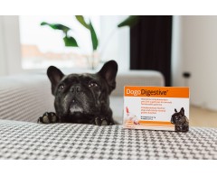 DOGOdigestive® supliment pentru imbunatatirea digestiei la caini .