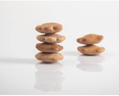 DOGOcookies immuno biscuiti pentru caini de la DOGOteka®