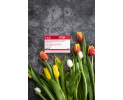 LactoAdapt STOP® de la DOGOteka® pentru diaree acuta caini