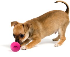 Set 2 mingii Dog Comets Ball Stardust Pink M pentru caini