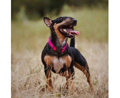 Zgarda reglabila pentru caini WAW DOG WaterProof with QR Passport