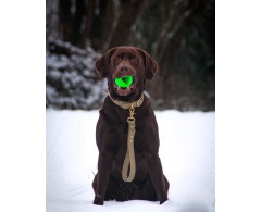 Moby Dog Ball Fairy Dust minge pentru caini