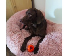 Moby Dog Ball Lemon Sunshine minge pentru caini