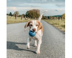 Moby Dog Ball Bright Orange minge pentru caini