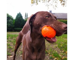 Moby Dog Ball Bright Orange minge pentru caini