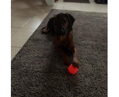 Moby Dog Ball Ocean Blue minge pentru caini