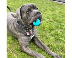 Moby Dog Ball Ocean Blue minge pentru caini