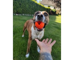 Moby Dog Ball Red Love minge pentru caini