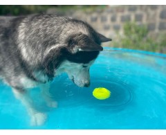 Moby Dog Ball Red Love minge pentru caini