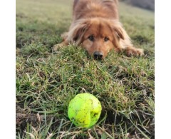 Moby Dog Ball Red Love minge pentru caini