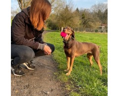 Moby Dog Ball Turquoise minge pentru caini