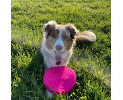 Moby Frisbee Soft Fluorescent Orange pentru caini