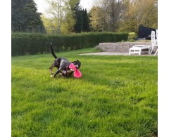 Moby Frisbee Soft Green Planet pentru caini