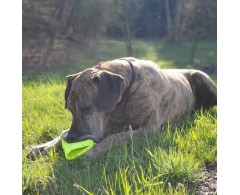 Moby Frisbee Soft Green Planet pentru caini