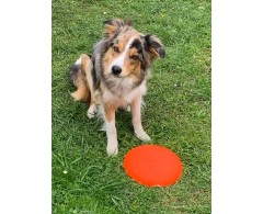 Moby Frisbee Soft Ocean Blue pentru caini