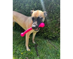 Jucarie Moby Dog Stick Turquoise pentru caini