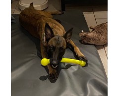 Jucarie Moby Dog Stick Fairy Dust pentru caini