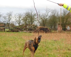 Dispozitiv Catch Me Dog pentru caini