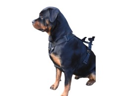 Ham de lucru pentru caini prevazut cu doua sisteme de inchidere Cobra L .