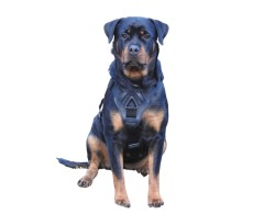 Ham de lucru pentru caini prevazut cu doua sisteme de inchidere Cobra L .