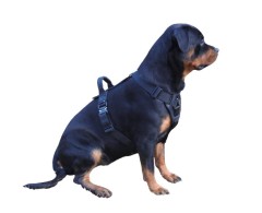 Ham de lucru pentru caini prevazut cu doua sisteme de inchidere Cobra L .