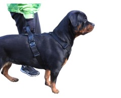 Ham de lucru pentru caini prevazut cu doua sisteme de inchidere Cobra L .