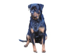 Ham de lucru pentru caini prevazut cu doua sisteme de inchidere Cobra M .