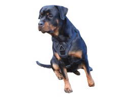 Ham de lucru pentru caini prevazut cu doua sisteme de inchidere Cobra M .