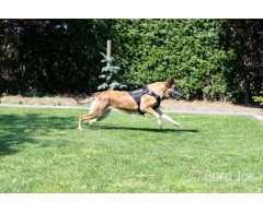 Ham tactic Cobra EURO JOE XXL