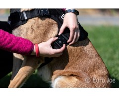 Ham tactic Cobra EURO JOE XXL