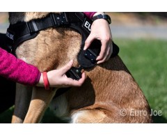 Ham tactic Cobra EURO JOE XXL