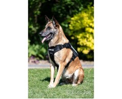 Ham tactic Cobra EURO JOE XXL