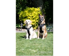 Ham tactic Cobra EURO JOE XXL