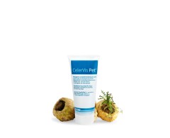 Dogoteka CelerVis Pet® supliment alimentar complementar pasta energetica caini