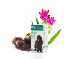 Dogoteka DOGOmaxy® supliment pentru articulatii caini de talie mare