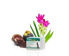 DOGOTEKA DOGO MINI 30 tablete, caini si pisici DOGOteka România