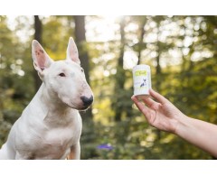 Dogoteka DiaGiar® pentru caini